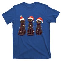 Cute Black Cat Santa Christmas Lights Cat Kitty Pajamas Xmas Cool Gift T-Shirt