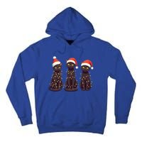 Cute Black Cat Santa Christmas Lights Cat Kitty Pajamas Xmas Cool Gift Tall Hoodie