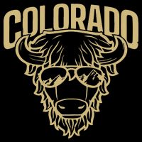 Cool Buffalo Colorado Boulder Game Day Apron
