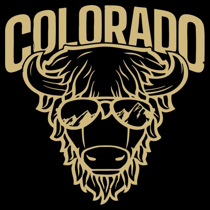 Cool Buffalo Colorado Boulder Game Day Apron