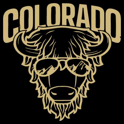Cool Buffalo Colorado Boulder Game Day T-Shirt