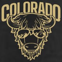 Cool Buffalo Colorado Boulder Game Day Beanie