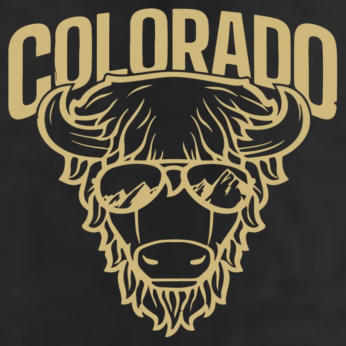 Cool Buffalo Colorado Boulder Game Day Beanie
