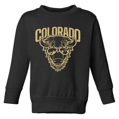 Cool Buffalo Colorado Boulder Game Day Toddler Sweatshirt