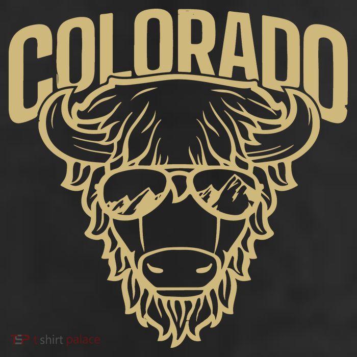 Cool Buffalo Colorado Boulder Game Day Trucker Hat