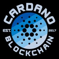 Cardano Blockchain Cryptocurrency Est 2017 Stripe Pom Pom Beanie