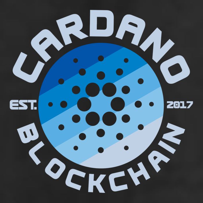 Cardano Blockchain Cryptocurrency Est 2017 Adult Drive Performance Visor