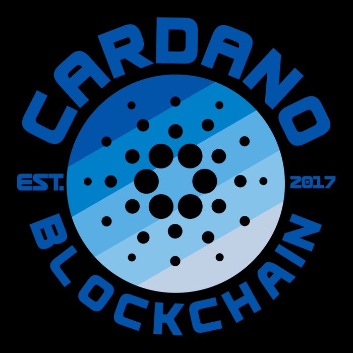 Cardano Blockchain Cryptocurrency Est 2017 Mug