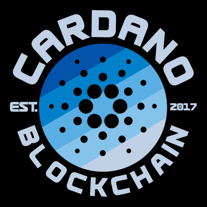 Cardano Blockchain Cryptocurrency Est 2017 Wool Snapback Cap