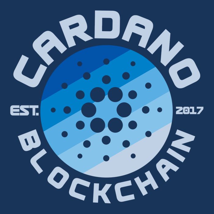 Cardano Blockchain Cryptocurrency Est 2017 7 Panel Mesh Trucker Snapback Hat