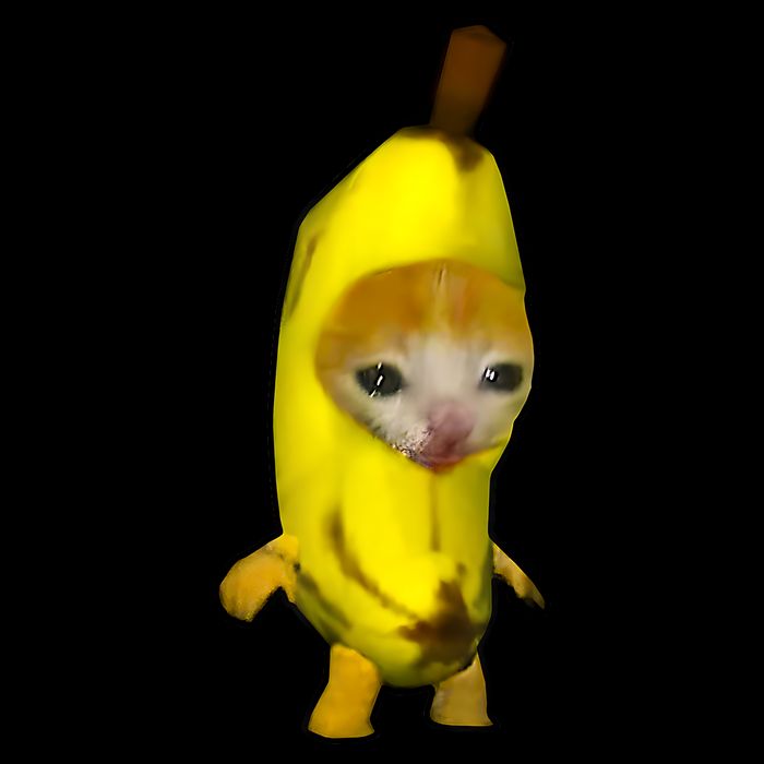 Cute Banana Cat Happy Bananacat Meme Kitty Cat Lovers Meme Drawstring Bag