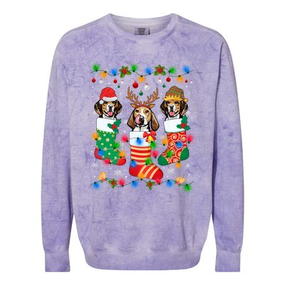 Cute Beagle Dog Puppy Christmas Socks Xmas Gift Colorblast Crewneck Sweatshirt