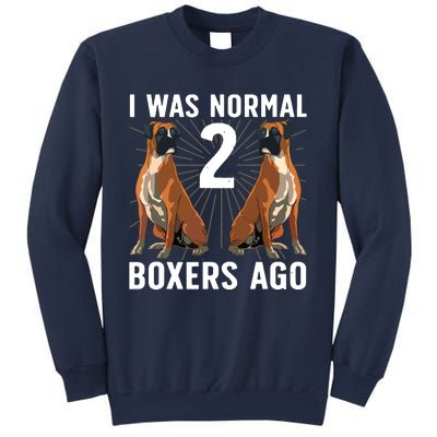 Cool Boxer Dog For Men Women Brindle Owner Trainer Dog Lover Sweatshirt