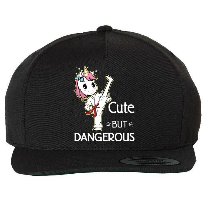 Cute But Dangerous Funny Karate Taekwondo Wool Snapback Cap