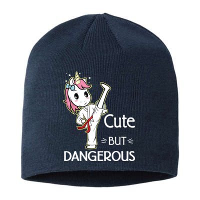 Cute But Dangerous Funny Karate Taekwondo Sustainable Beanie