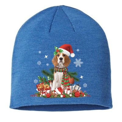 Christmas Beagle Dog Santa Hat Lights Presents Decorations Meaningful Gift Sustainable Beanie