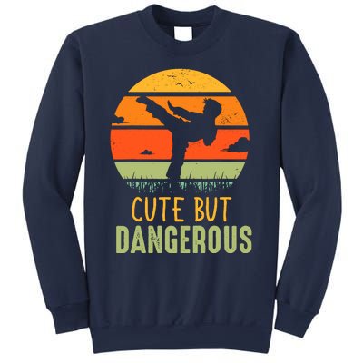 Cute But Dangerous Karate Student Trainee Karateka Master Sweatshirt