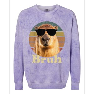 Capybara Bruh Funny Capybara Love Colorblast Crewneck Sweatshirt