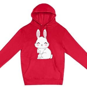 Cute Bunny Face Tie Dye Glasses Easter Day Premium Pullover Hoodie