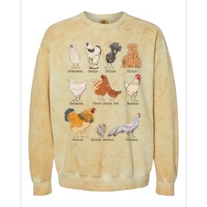 Chicken Breeds Farm Animals Day Support Local Farmer Colorblast Crewneck Sweatshirt