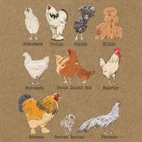 Chicken Breeds Farm Animals Day Support Local Farmer Cotton Canvas Backpack