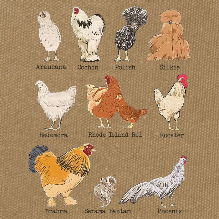 Chicken Breeds Farm Animals Day Support Local Farmer Cotton Canvas Backpack