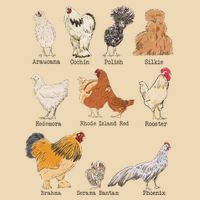Chicken Breeds Farm Animals Day Support Local Farmer Drawstring Bag