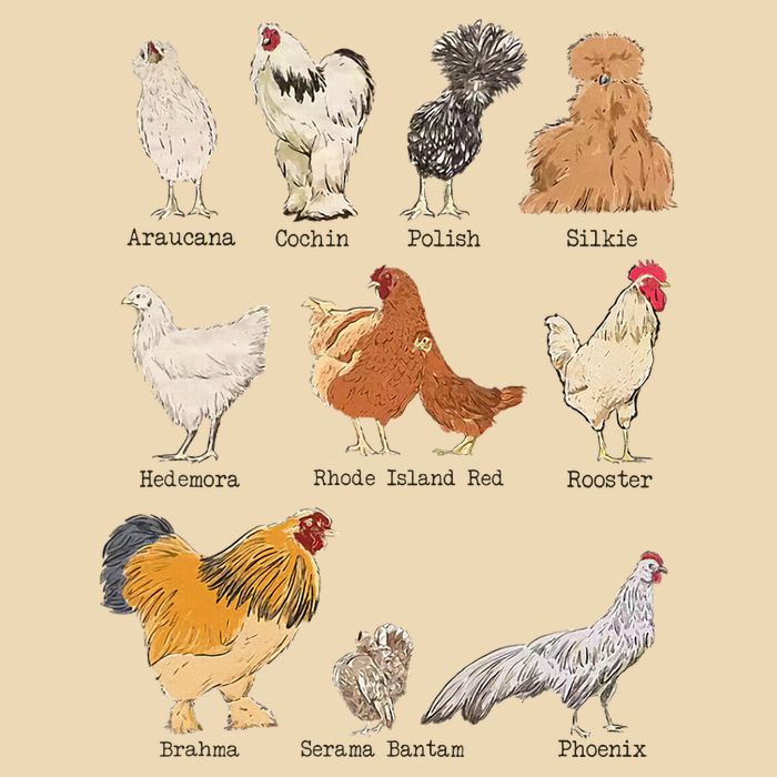 Chicken Breeds Farm Animals Day Support Local Farmer Drawstring Bag