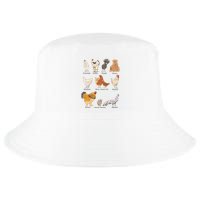 Chicken Breeds Farm Animals Day Support Local Farmer Cool Comfort Performance Bucket Hat