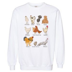 Chicken Breeds Farm Animals Day Support Local Farmer Garment-Dyed Sweatshirt