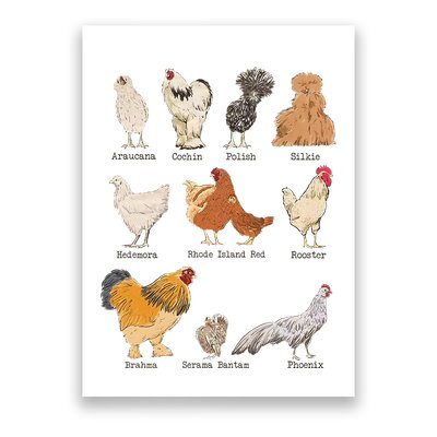 Chicken Breeds Farm Animals Day Support Local Farmer Poster