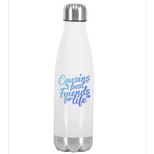 Cousins Best For Life Friends Cousin Sister Brother Family Meaningful Gift Stainless Steel Insulated Water Bottle