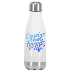 Cousins Best For Life Friends Cousin Sister Brother Family Meaningful Gift Stainless Steel Insulated Water Bottle