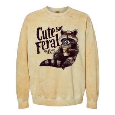 Cute But Feral Vintage Raccoon Coffee Lover Colorblast Crewneck Sweatshirt