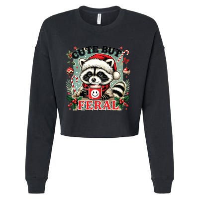 Cute But Feral Cropped Pullover Crew