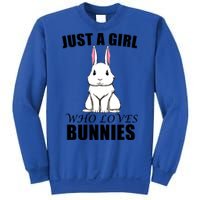 Cute Bunny Fan Rabbit Rodent Cute Gift Sweatshirt