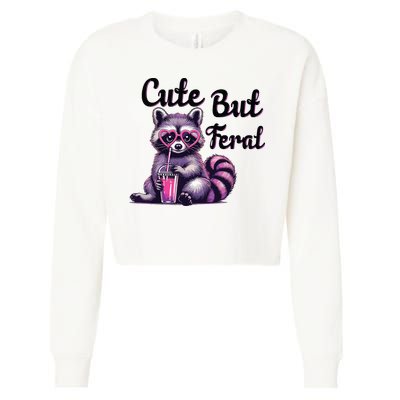 Cute But Feral Raccoon Funny Meme Cropped Pullover Crew
