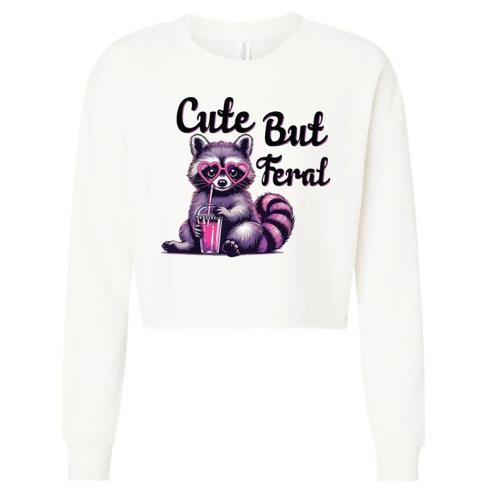 Cute But Feral Raccoon Funny Meme Cropped Pullover Crew