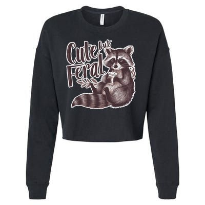 Cute But Feral Funny Raccoon Memes Coffee Raccoon Opossum Cropped Pullover Crew