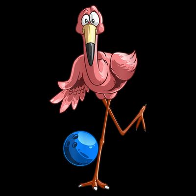 Cool Bowling Flamingo T-Shirt