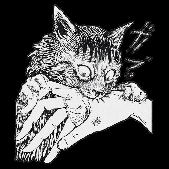 Cat Bite Funny For Women Cooling Performance Crew T-Shirt