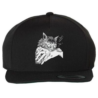 Cat Bite Funny For Women Wool Snapback Cap