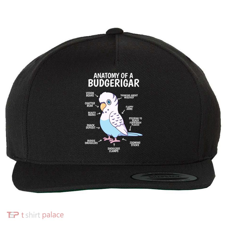 Cute Budgie Funny Gift Parakeet Gift Anatomy Of A Budgerigar Bird  Wool Snapback Cap