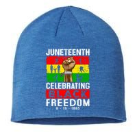 Celebrate Black Freedom Day Juneteenth Black History Month Funny Gift Sustainable Beanie