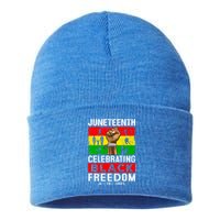 Celebrate Black Freedom Day Juneteenth Black History Month Funny Gift Sustainable Knit Beanie