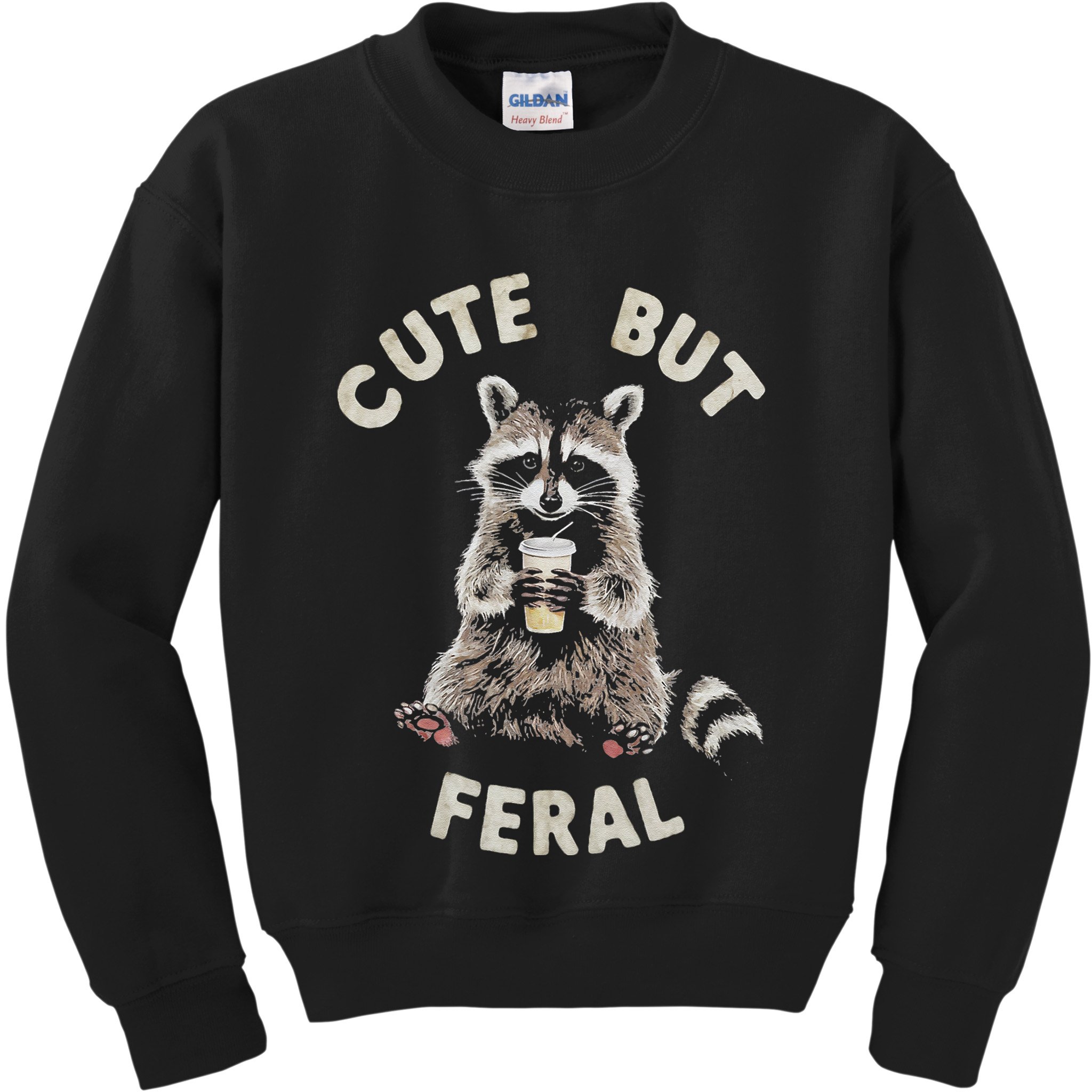 Cute But Feral Funny Sarcastic Raccoon Gift Kids Sweatshirt