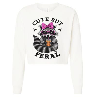 Cute But Feral Funny Colorful Racoon With Sunglasses Racoon Cropped Pullover Crew