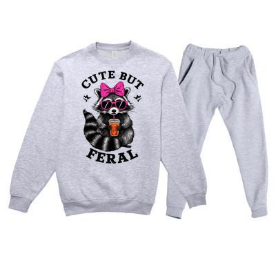 Cute But Feral Funny Colorful Raccoon With Sunglasses Premium Crewneck Sweatsuit Set