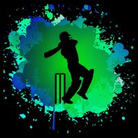Cricket Batsman For Cricketer Cricket Drawstring Bag