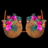 Coconut Bra Funny Bra Bra Backpack